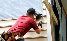 Best Custom Siding Design  in Randleman, NC